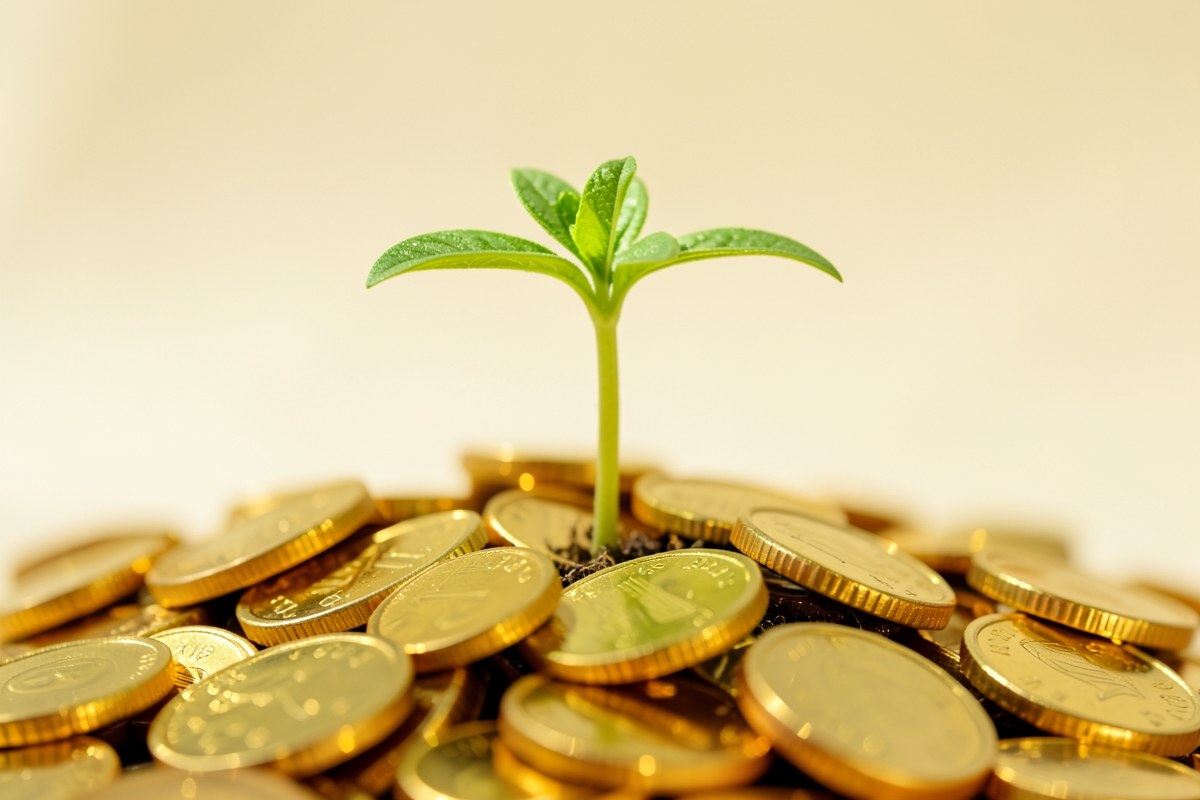 A seedling growing from a pile of coins, signifying financial recovery and resilience.